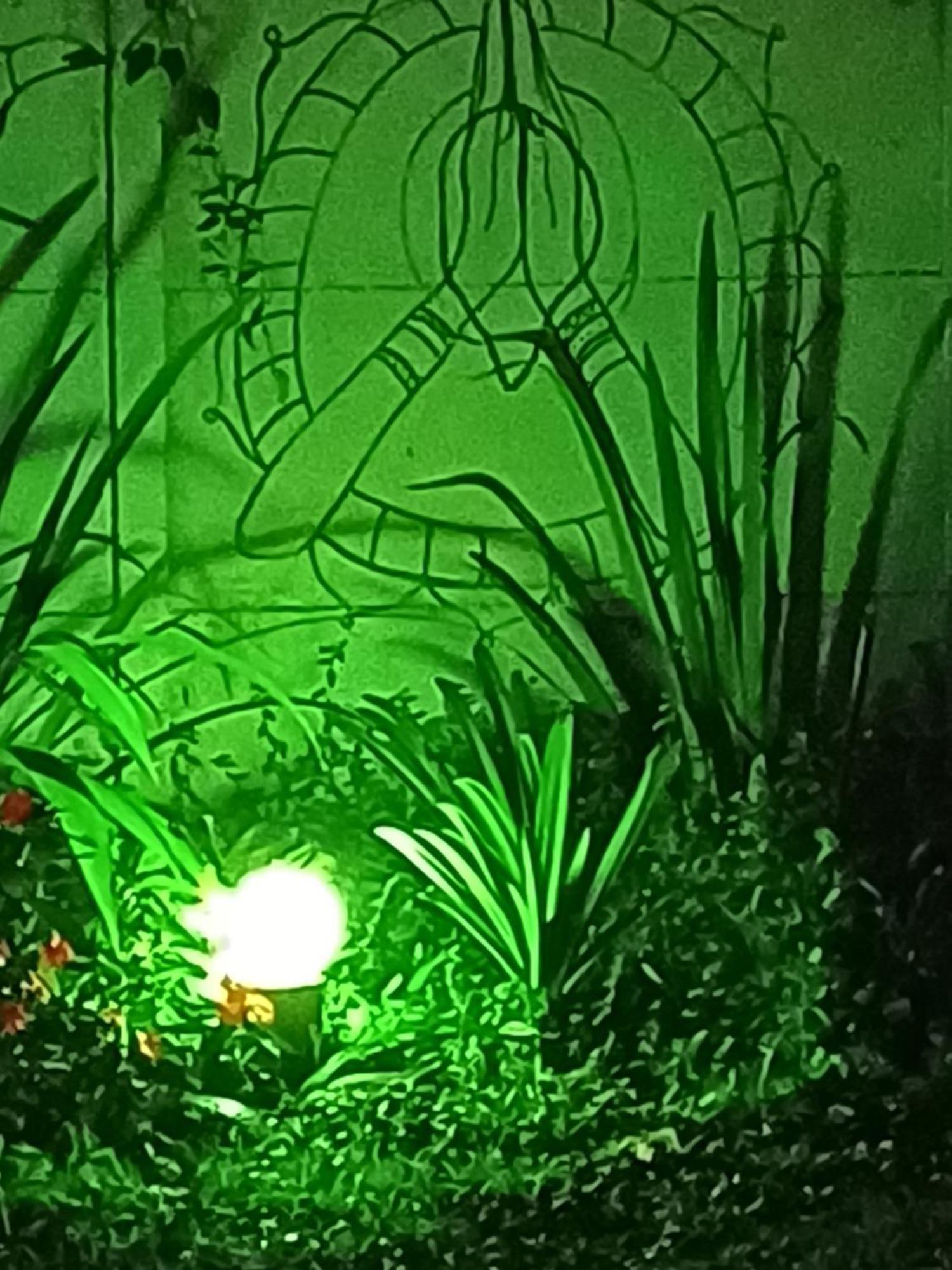 Hospedagem Namaste 维奥康德马奥 外观 照片